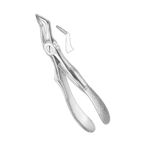 Extracting Forceps Child